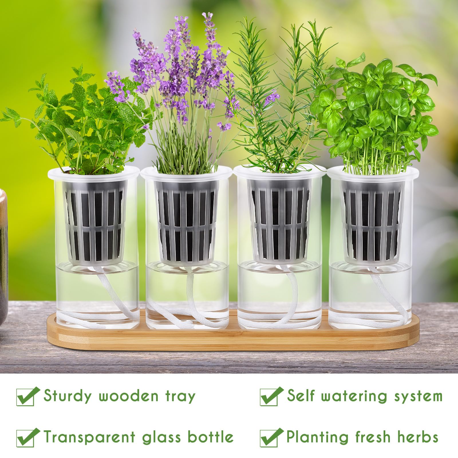 Amazon.com : Teenyyou 8 Pcs Hydroponic Herb Planter Growing Kit Self  Watering Glass Vase with Wooden Stand Herb Garden Starter Kit for  Propagating Hydroponic Plants Centerpiece Office Home Garden Decor : Patio,