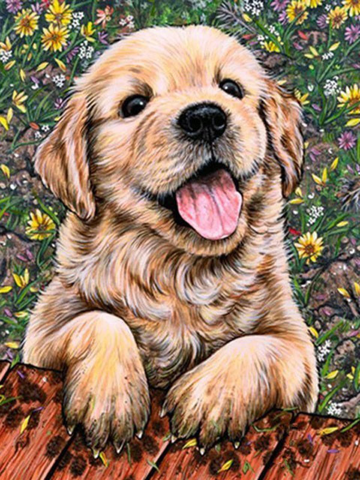 Peinture diamant 5D chien bricolage broderie animal point de croix