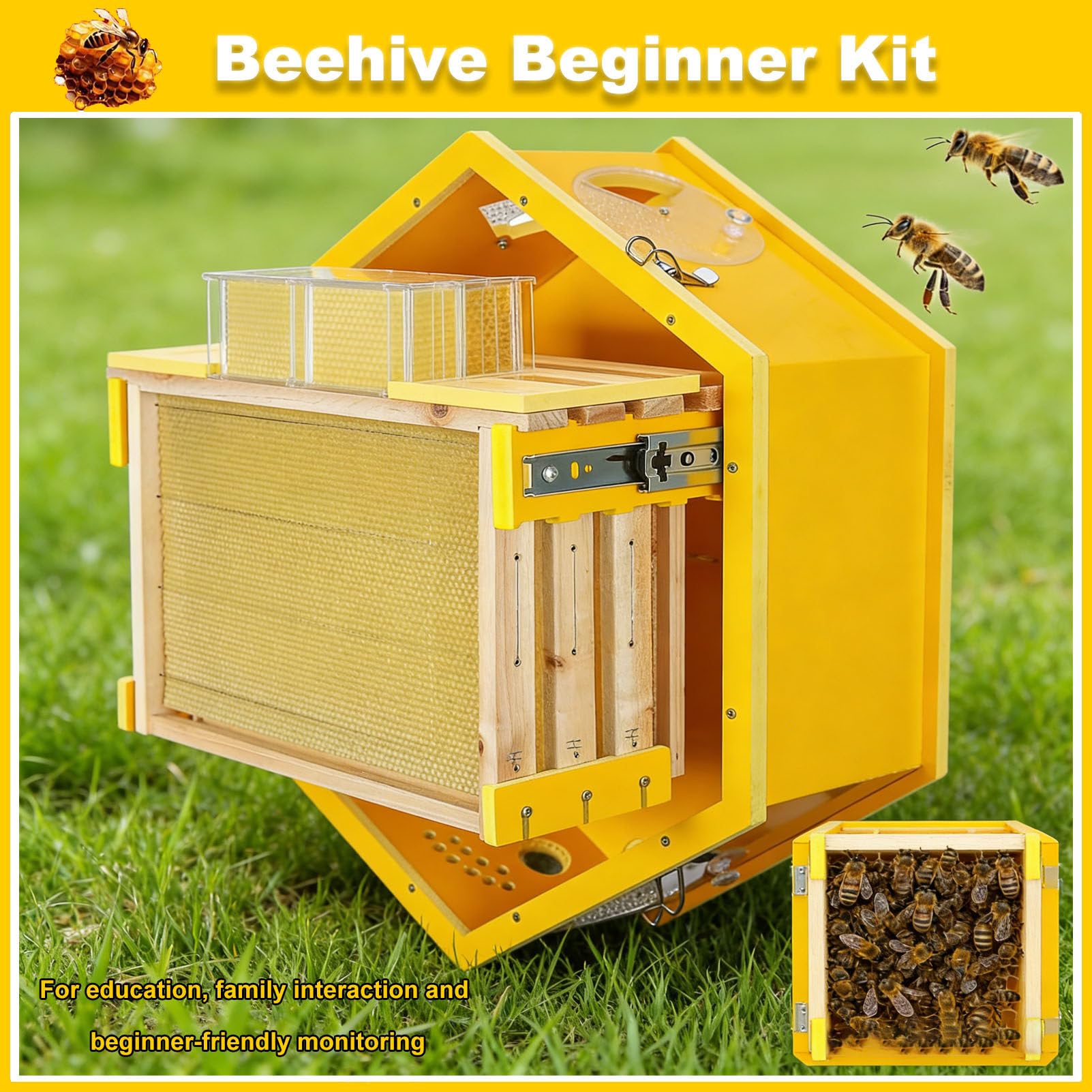 Caja para Colmena con Ventanas de observación, Kit Completo para Principiantes, para cría de Abejas en Interiores, fácil observación, con 3 Marcos y Caja de Miel de 6 panales.