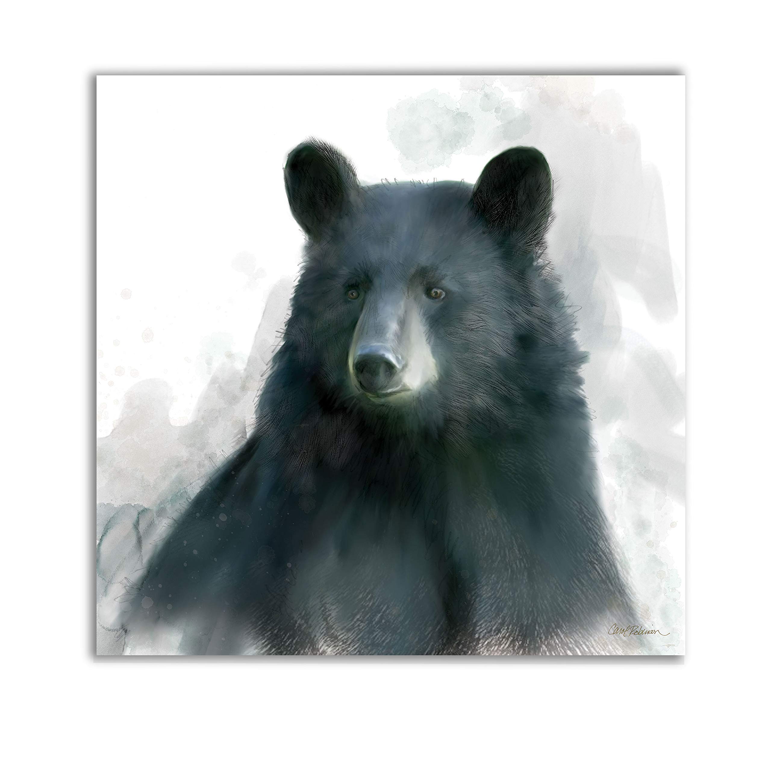 WEXFORD HOMERainsoft Bear Gallery Wrapped Canvas Wall Art
