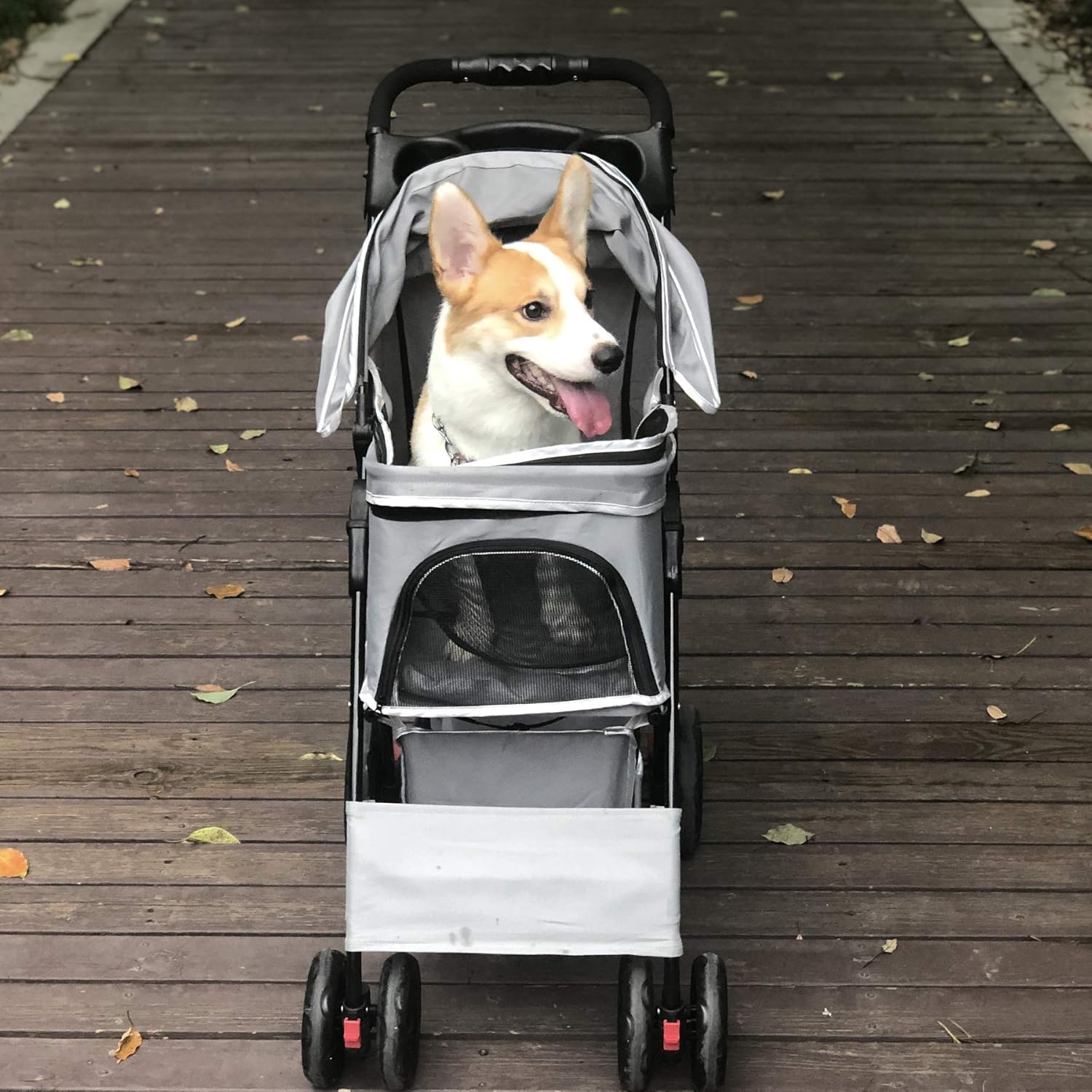 corgi stroller