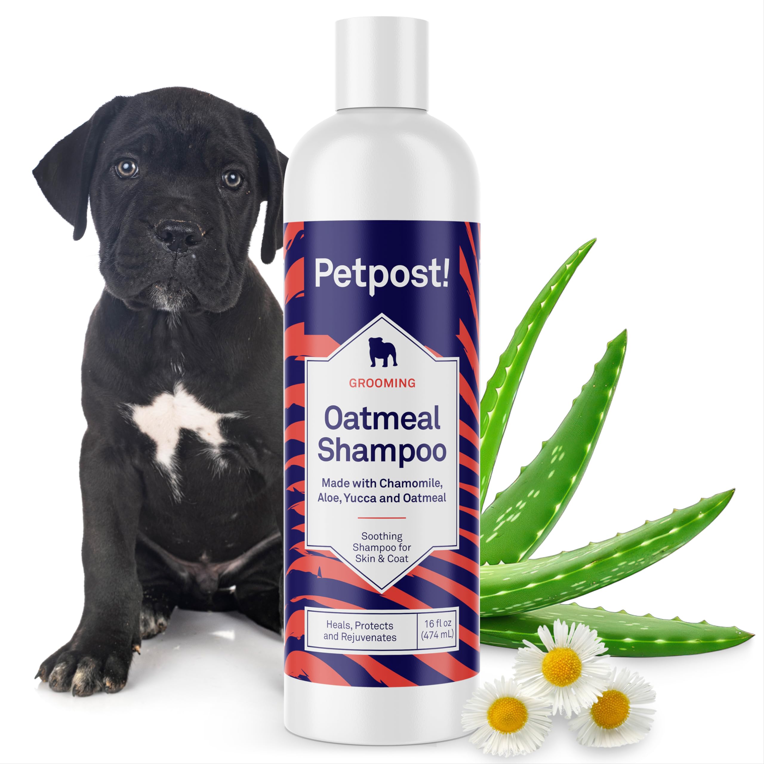 Petpost Oatmeal and Chamomile Dog Shampoo