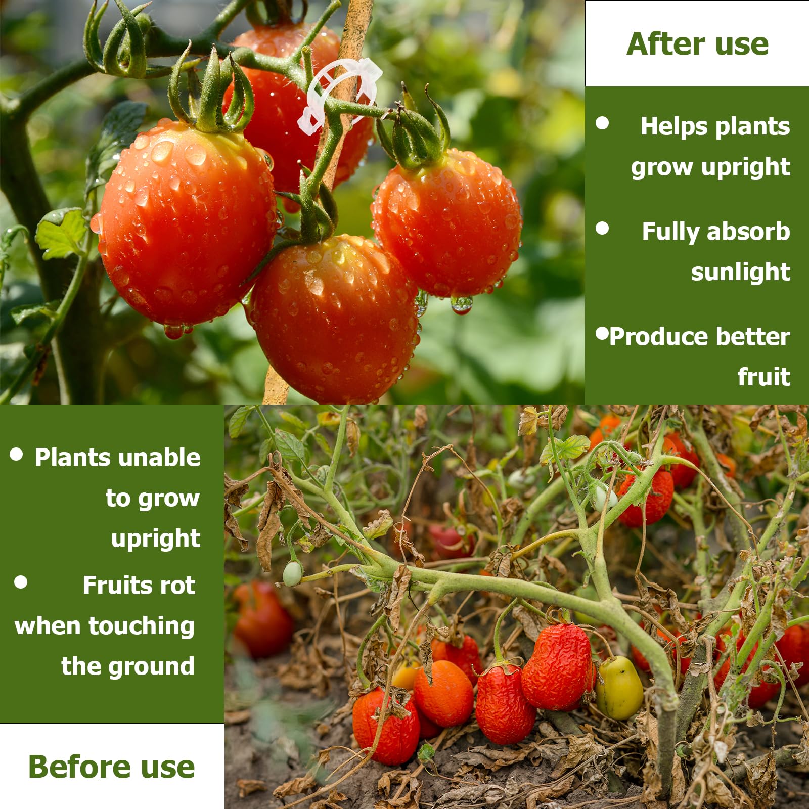 130 Clip Per Piante Da Giardino - Supporto Per Rampicanti E Pomodori - Foto 8