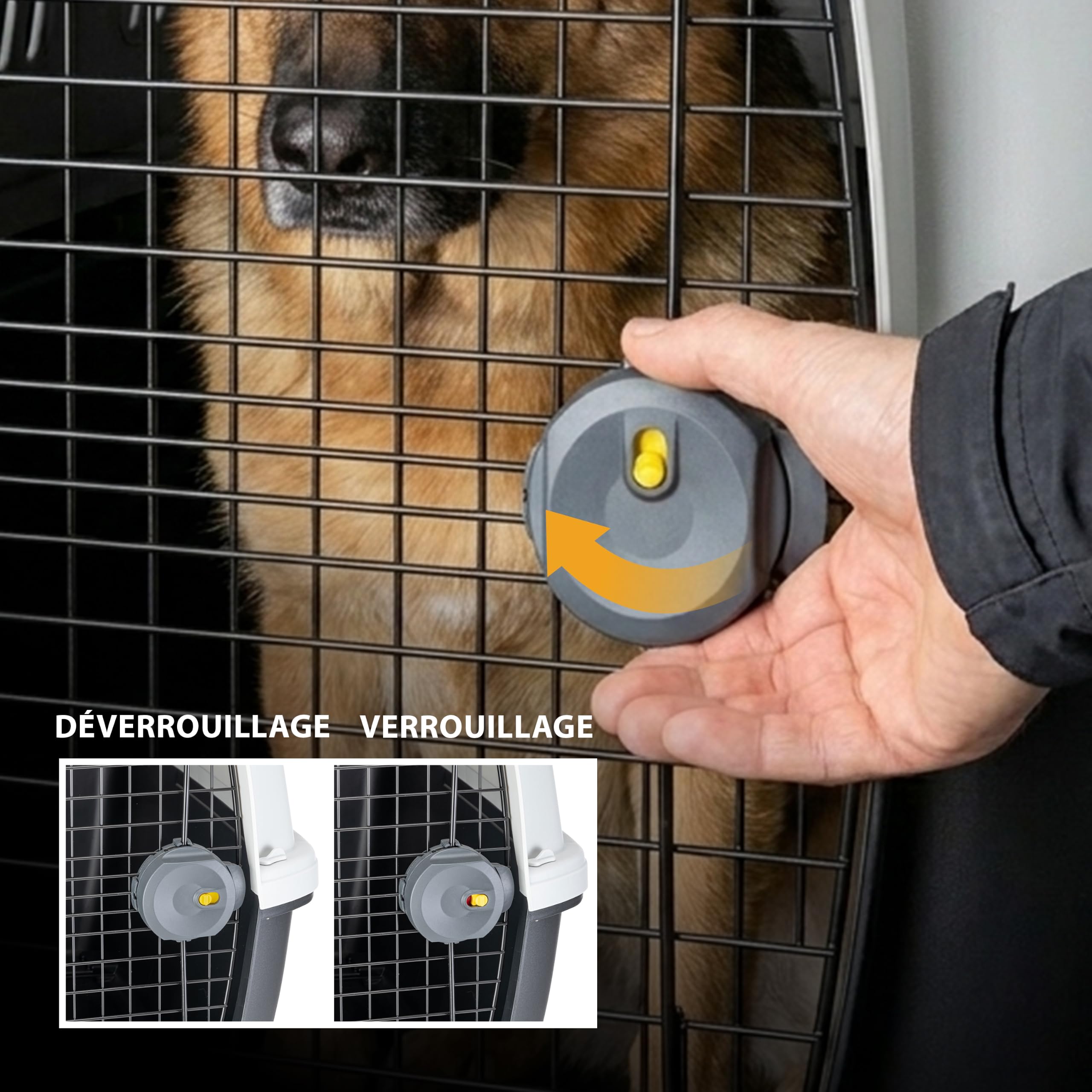 Ferplast Cage de Transport pour Chiens CLIPPER PLUS, IATA, Boite Panier Transport Grand Chien max 60 Kg, fermeture sécurisée, Compartiment pour accessoires, Poignée amovible, 105 x 75 x h 79 cm