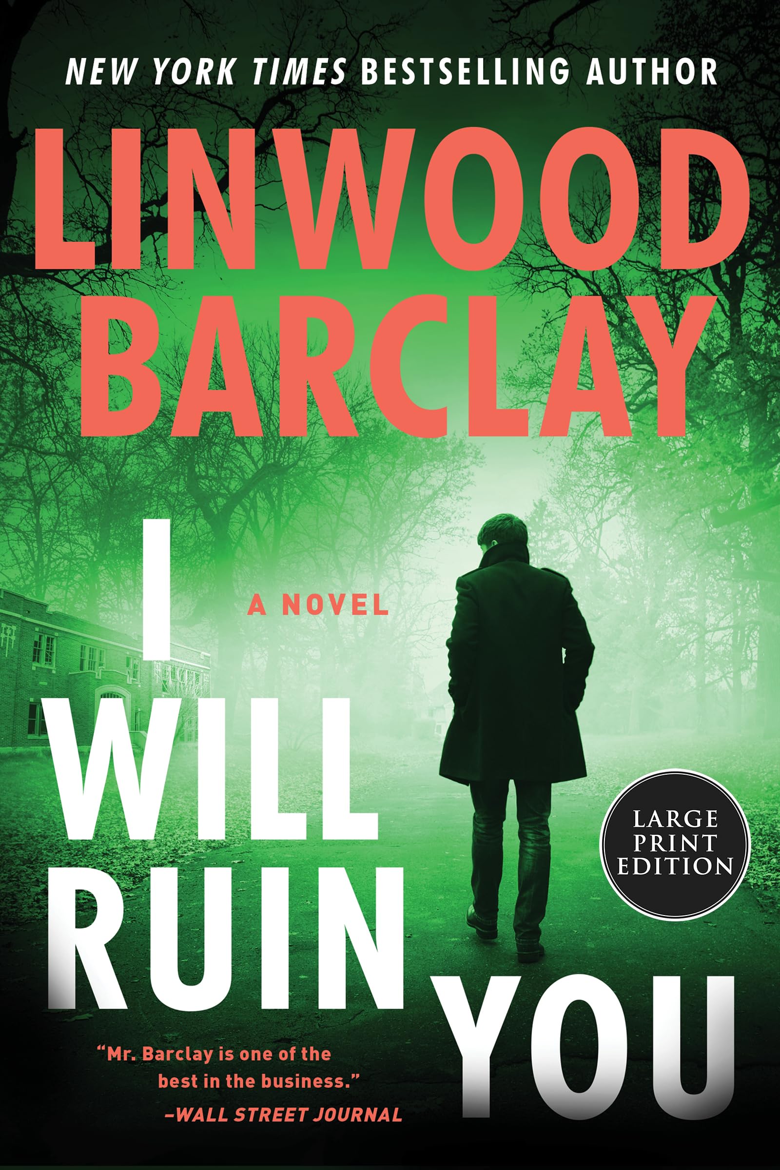 I Will Ruin You: A Novel