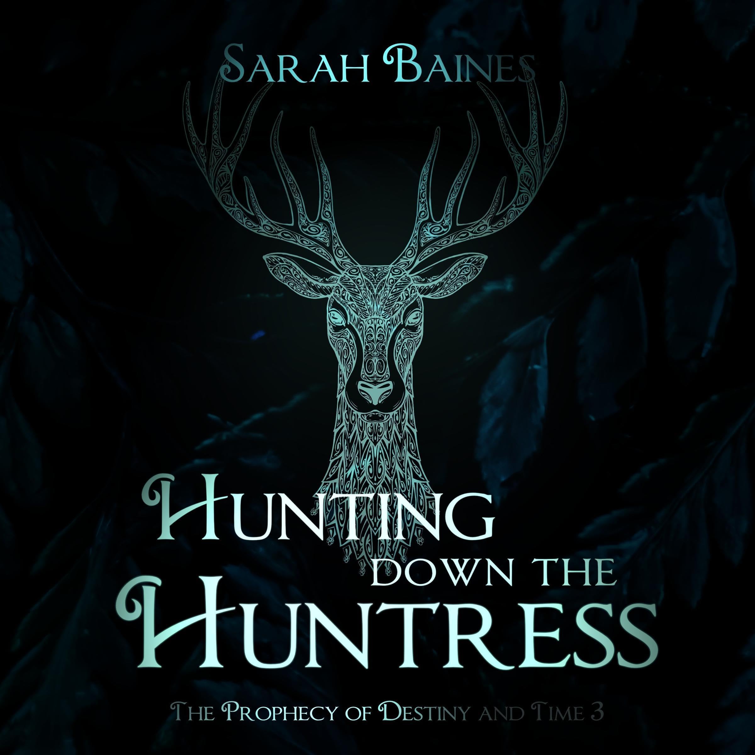 Cover art for Hunting Down The Huntress