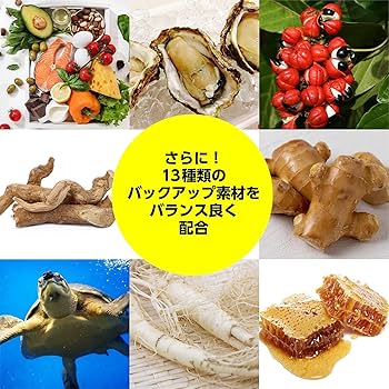 Amazon.co.jp: マカドリンク【マカ6600 極感MEGA MAX 1日分 50ml