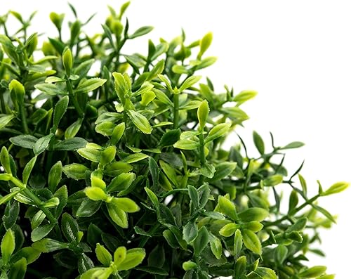 Miniatura 8 de Velener 2 mini plantas artificiales de boj de imitación para interiores, pequeñas plantas falsas para decoración de Magnolia para el hogar, oficina