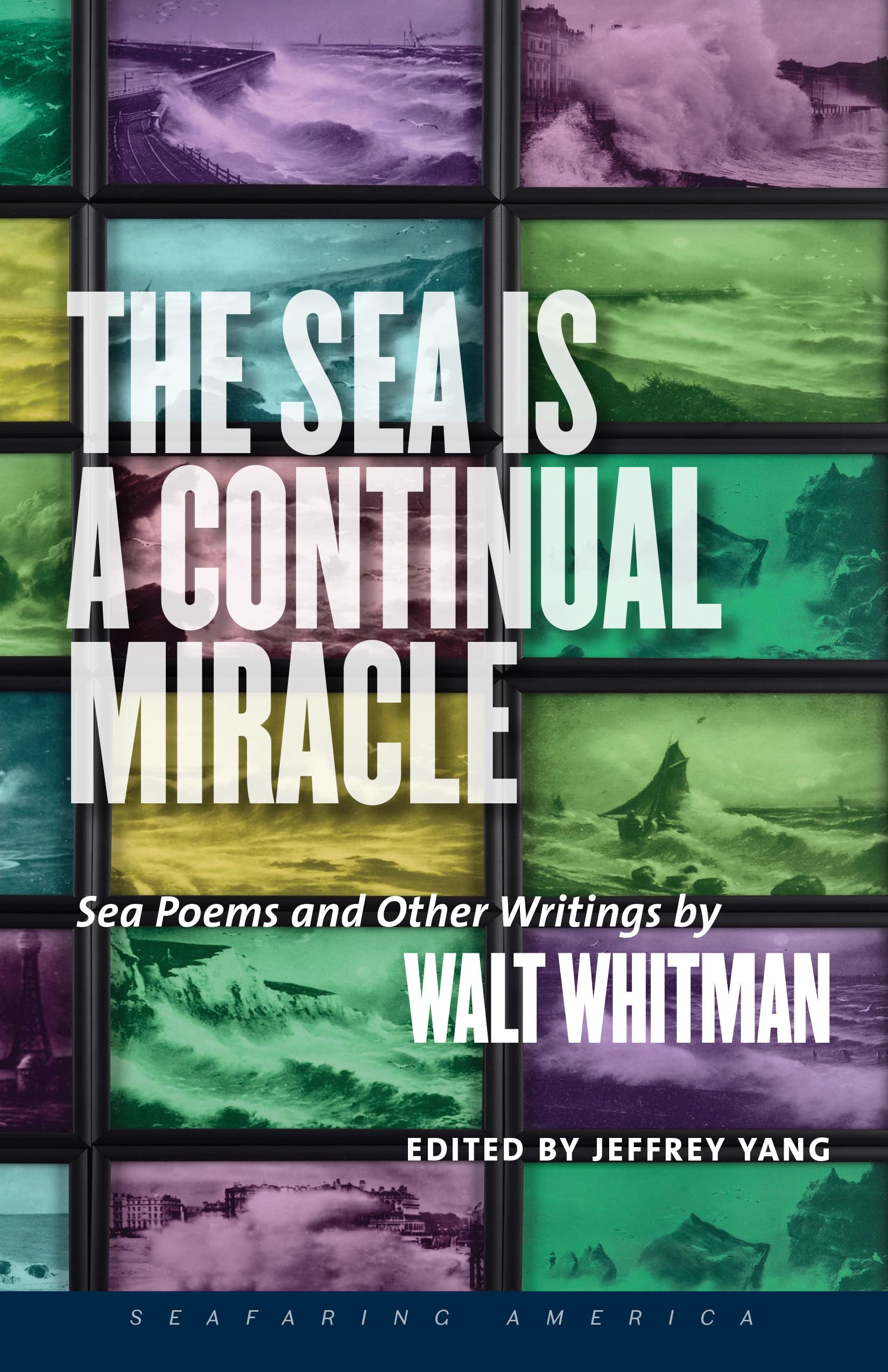 Buy The Sea is a Continual Miracle — BookShops.in