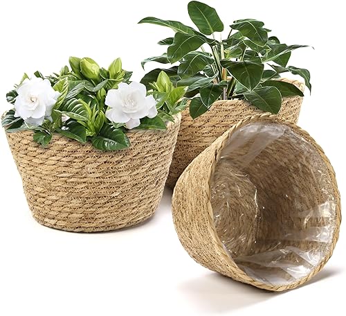 Athaliah Juego de 3 cestas para plantas, cestas tejidas para interiores con forro de plástico, jacinto de agua y cáscara de maíz macetas decorativas