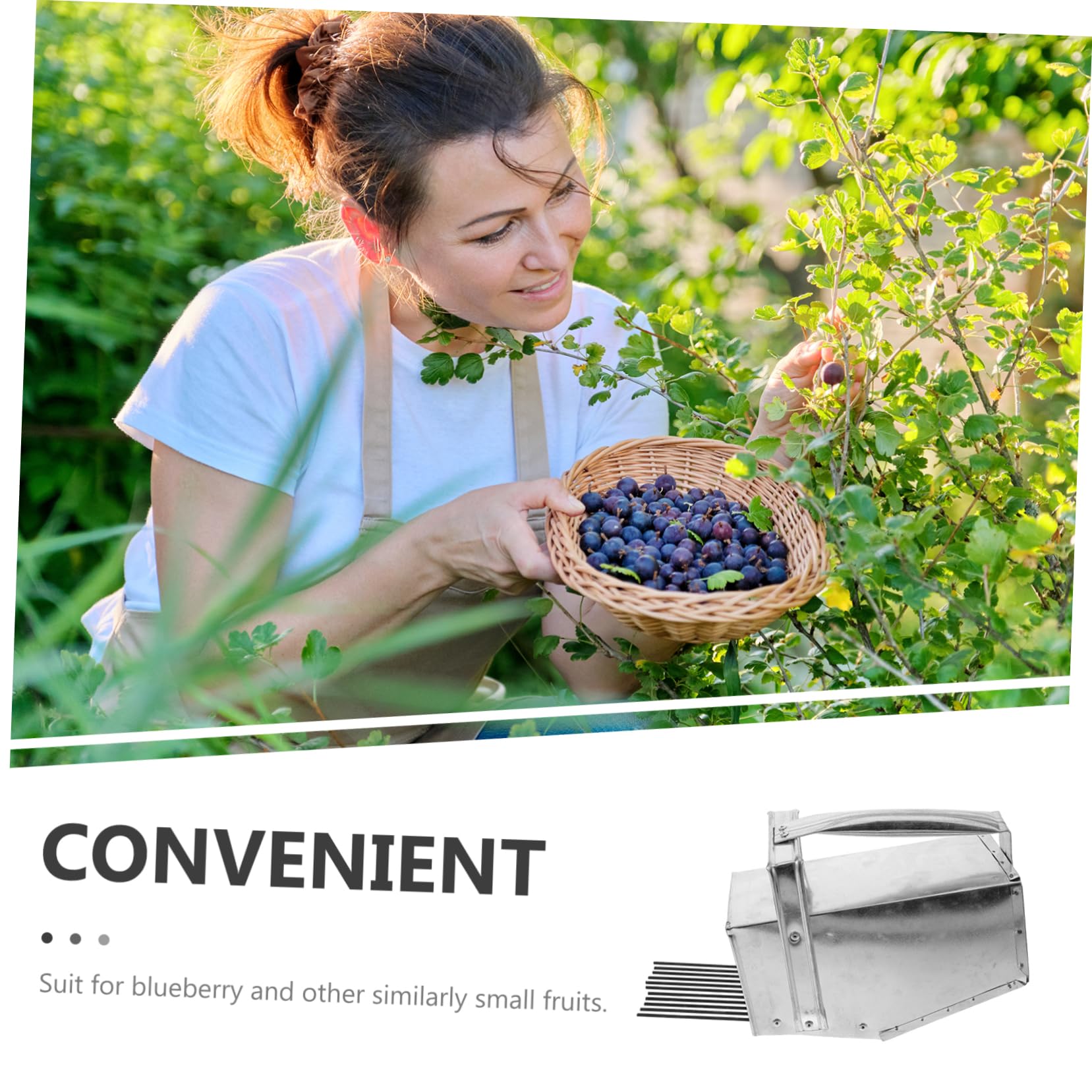 GALPADA Blueberry Picker Berry Picker Rake Fruit Tools Blueberry Devices Labor Saving