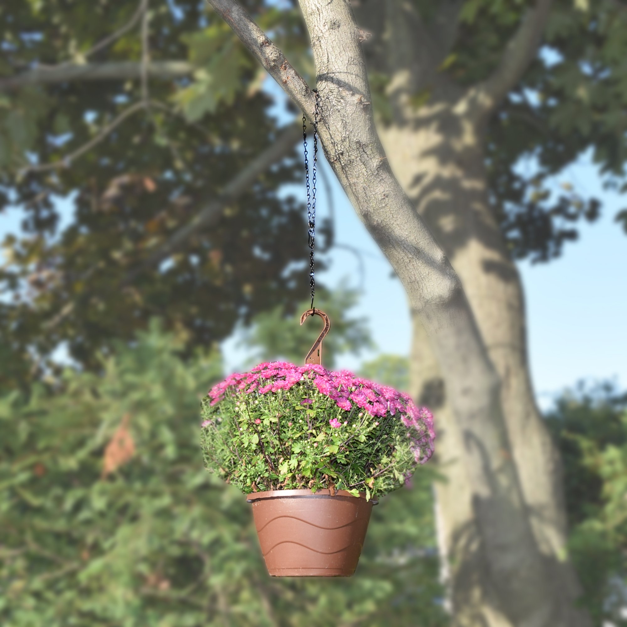 Amazon.co.jp: GreyBunny GB-6818Bハンギングチェーン、35インチ