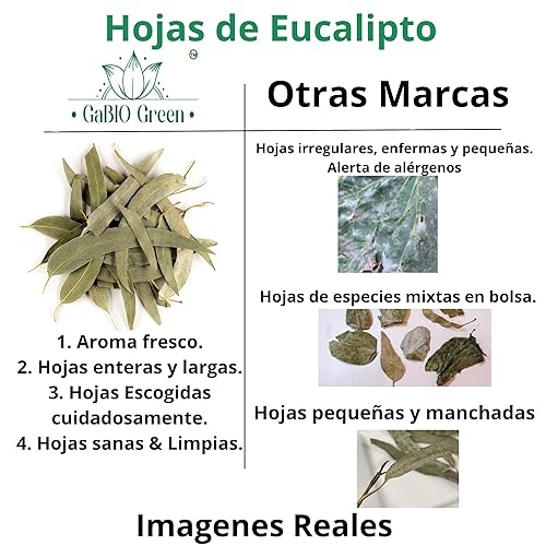 Miniatura 3 de Hojas enteras de eucalipto, hojas enteras de eucalipto de 8 oz 12 libra, té suelto de hierbas, té de eucalipto gr de hoja entera, bolsa resellable