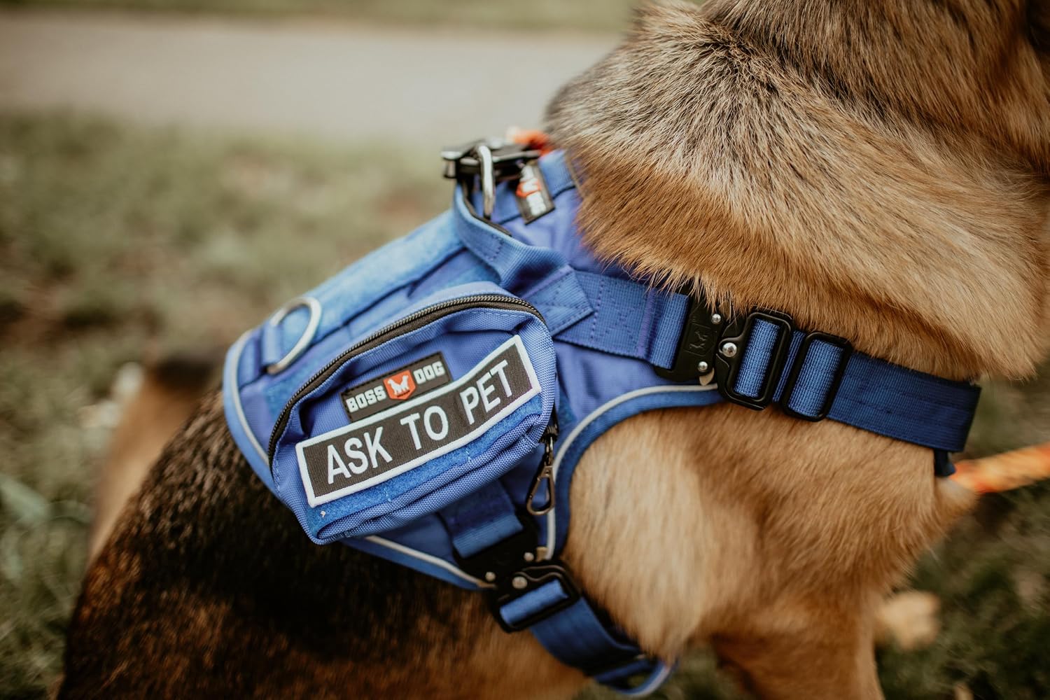 Boss Dog Tactical Molle Bag, Blue, Large