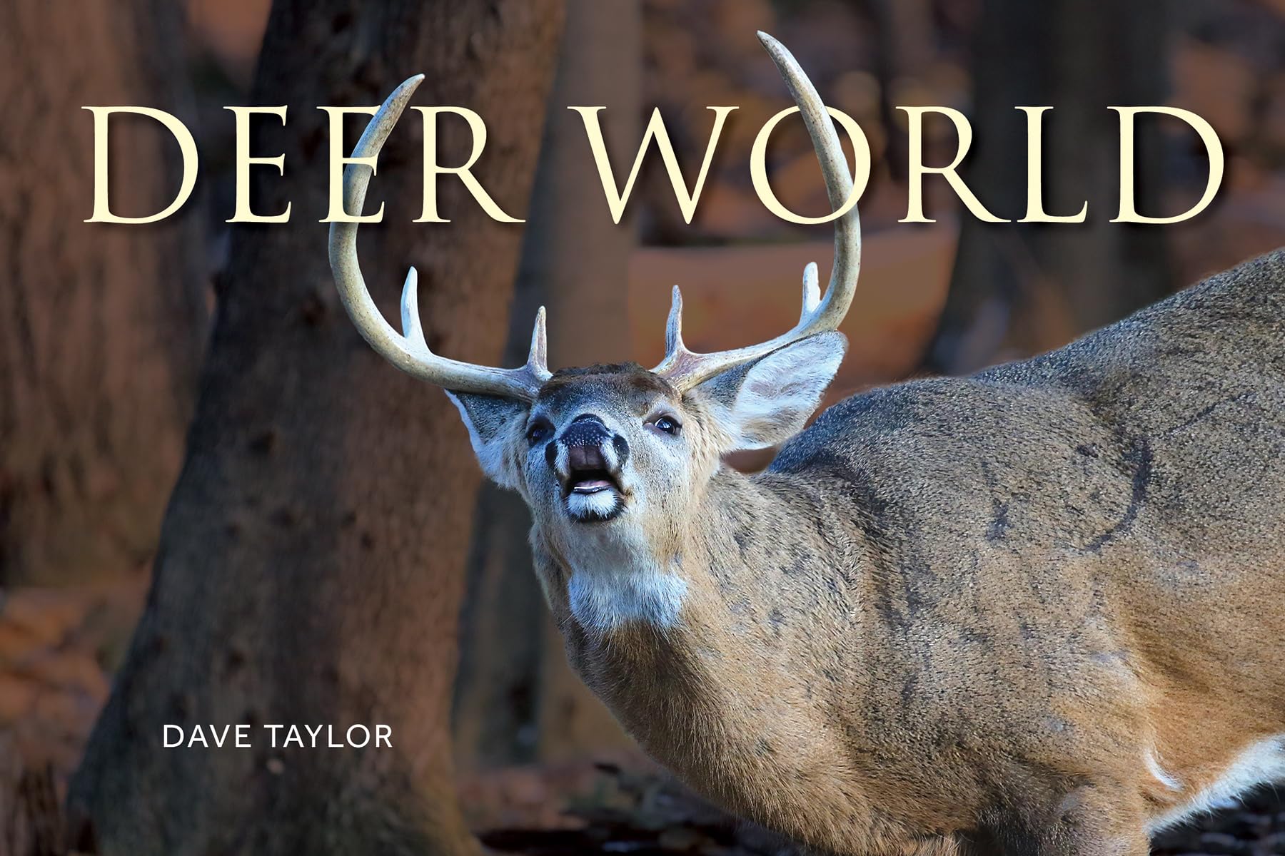 Deer World by Dave Taylor PAPERBACK 9780228105992