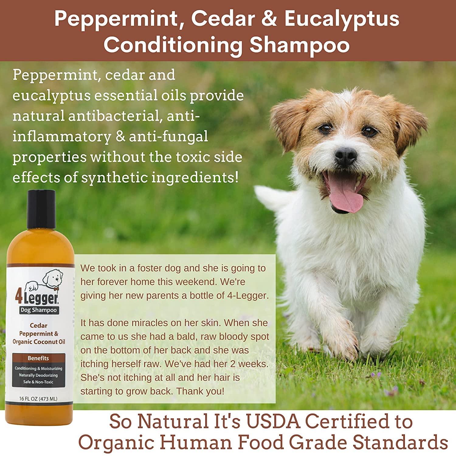Is Eucalyptus Oil Bad For Dogs