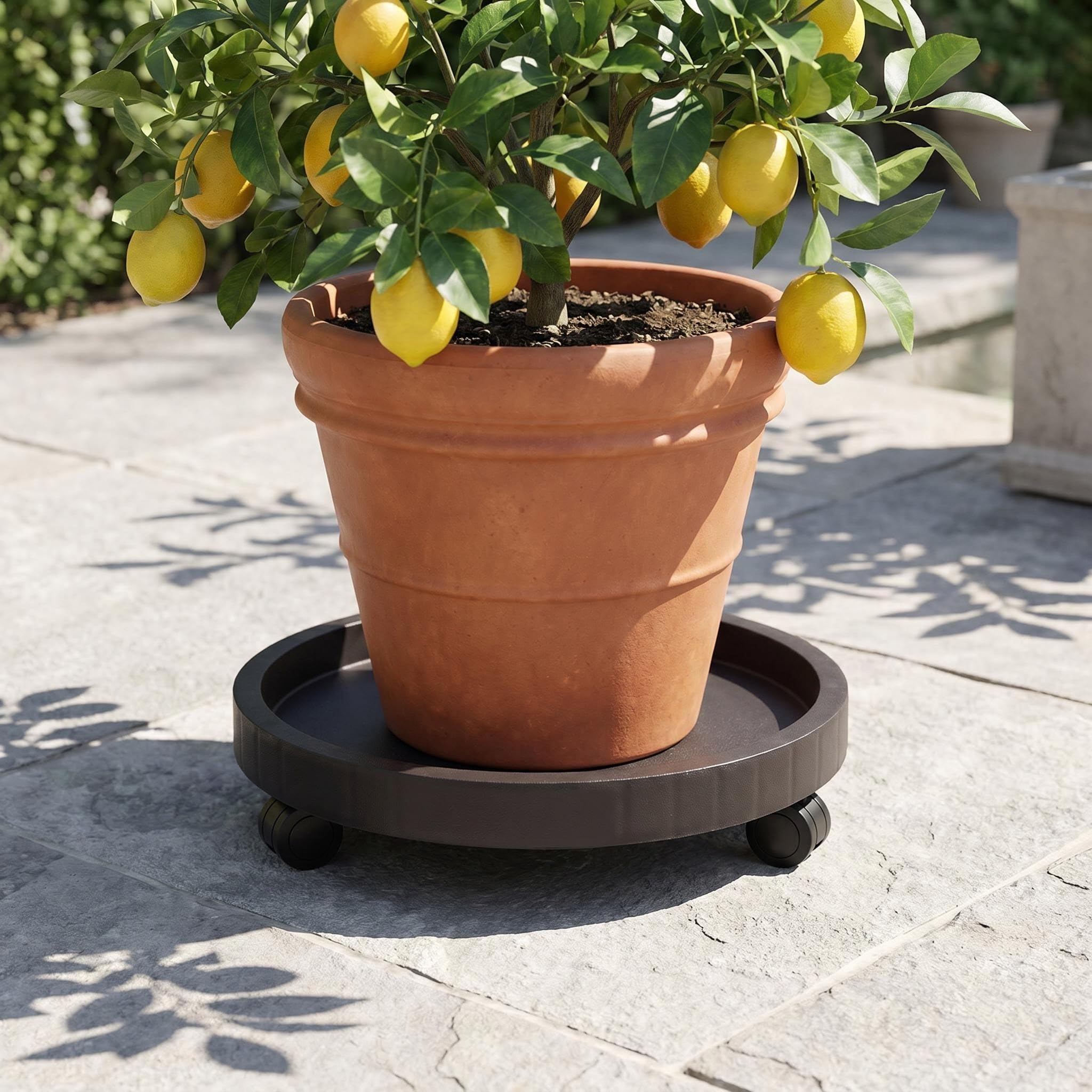 Rolling Planter Caddy - Move Plants Easily -9