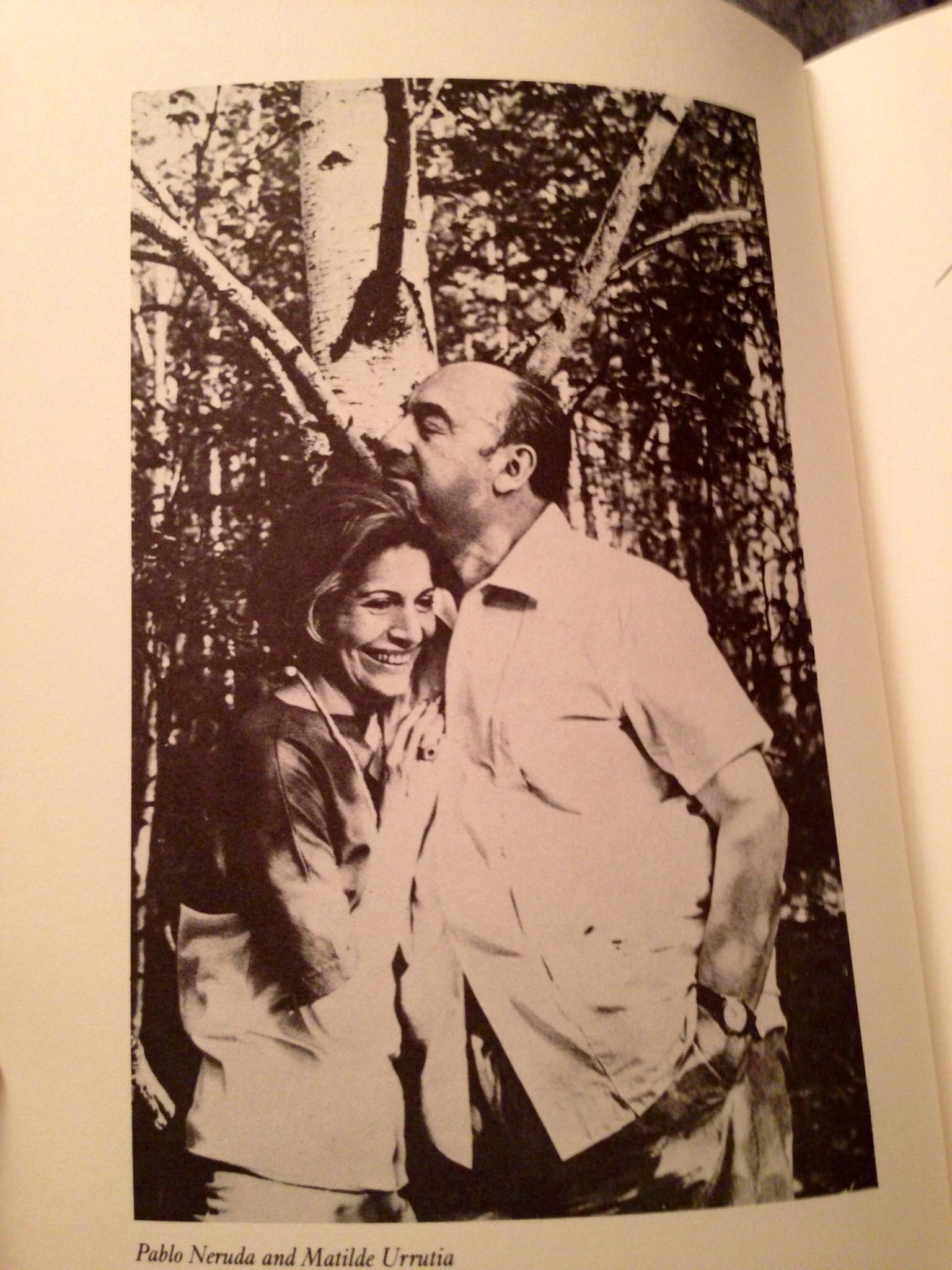 100 Love Sonnets: Cien sonetos de amor (Texas Pan American Series) (English and Spanish Edition) - Image 4