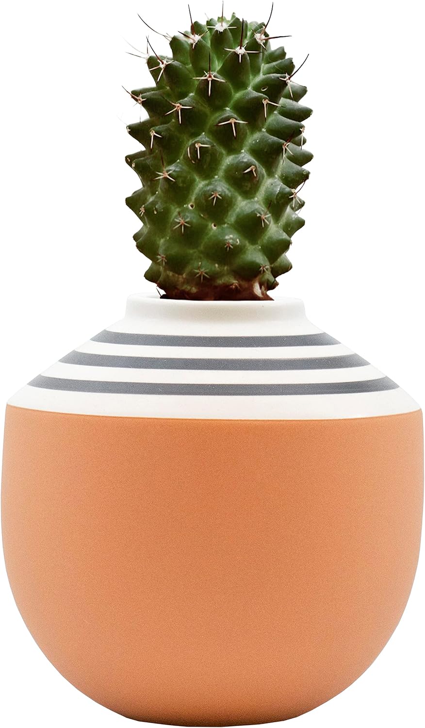 Stephanie Imports Boho Brown Terracotta Vase with Hand-Painted Matte White Design (Black Swirl)