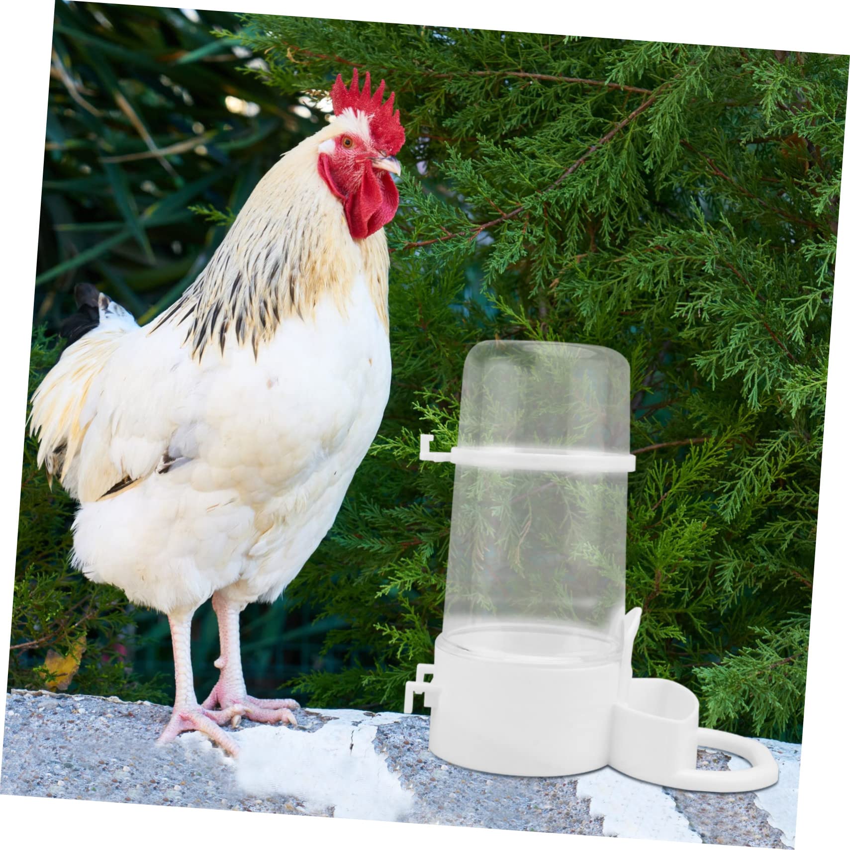 HANABASS 8pièces Distributeur Automatique Eau pour Oiseaux Abreuvoirs Étanches pour Volaille Gamelles Pratiques pour Poules Et Oiseaux Domestiques Faciles à Installer Nettoyer