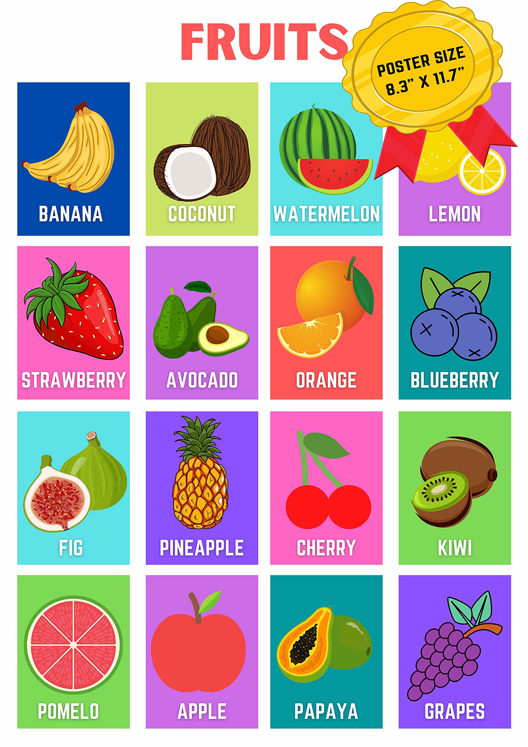 Buy Fruits School Kids Learning Laminated Educational Fruits Name