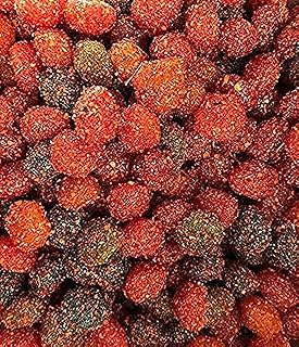 Candy Land’s Assortments Spicy Chamoy Fruit Gushersz- Famous on TikTok -Make your own