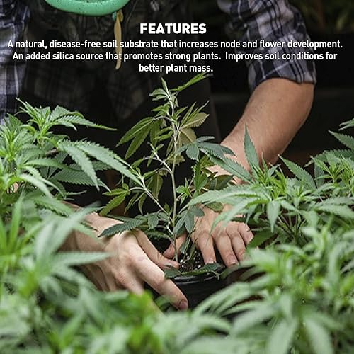 Miniatura 6 de EasyGo Product Harvest Hero Perlita con sílice para mezcla de tierra para macetas, esquejes de raíces, recipientes y cultivo hidropónico, grado