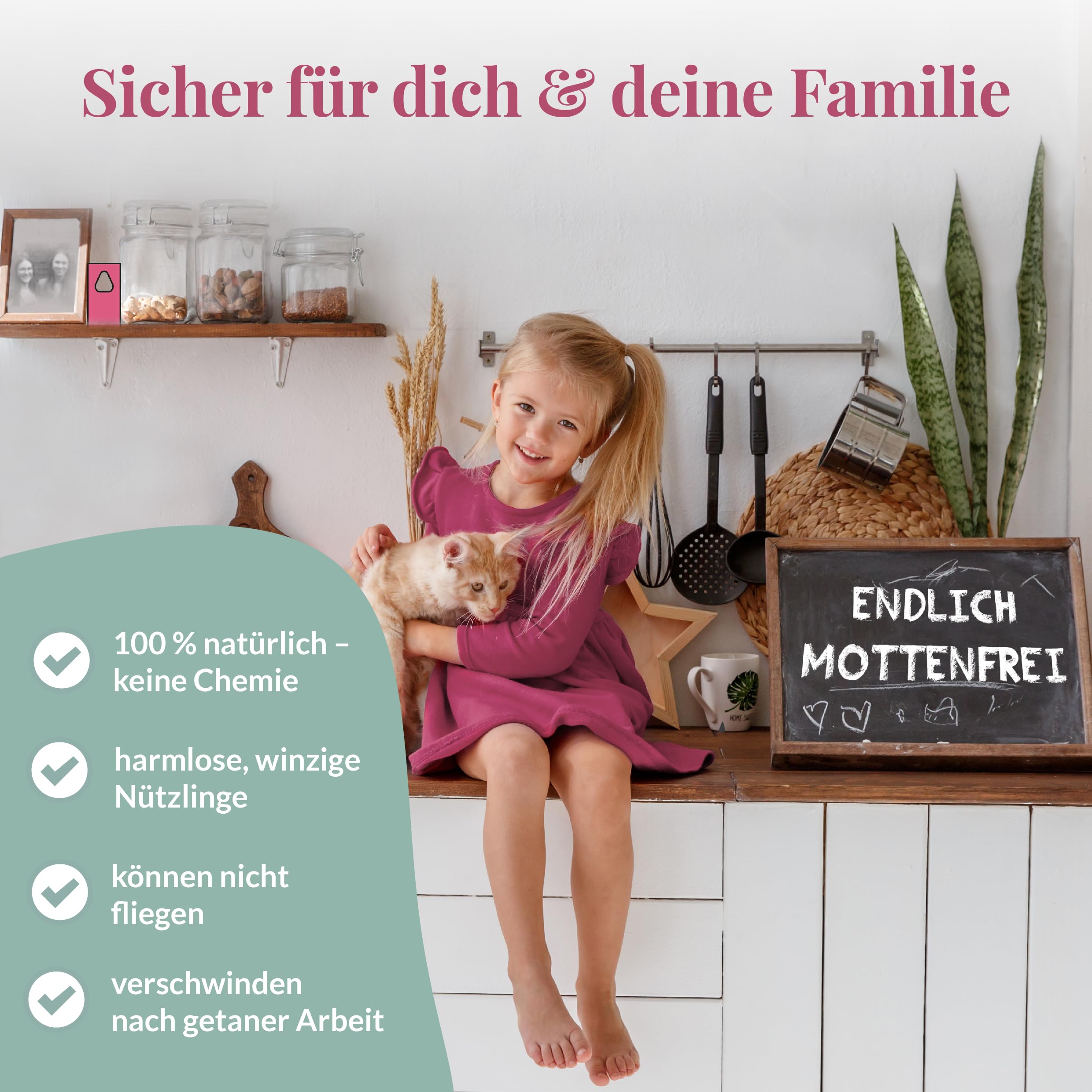 Hey Nature Schlupfwespen gegen Lebensmittelmotten - 9 Karten (3 Karten à 3 Lieferungen) - Effektiv Lebensmittel Motten bekämpfen - Alternative zu Lebensmittelmotten Falle, Mottenkugeln & Mottenspray