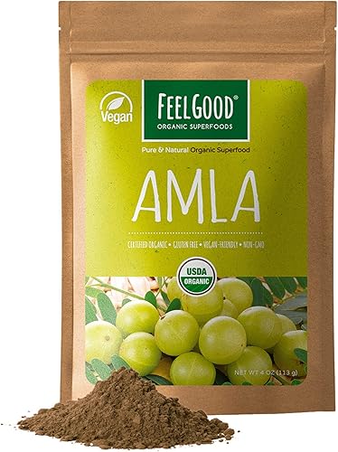 Feelgood Superfoods Amla Powder en una bolsa resellable, 4 oz