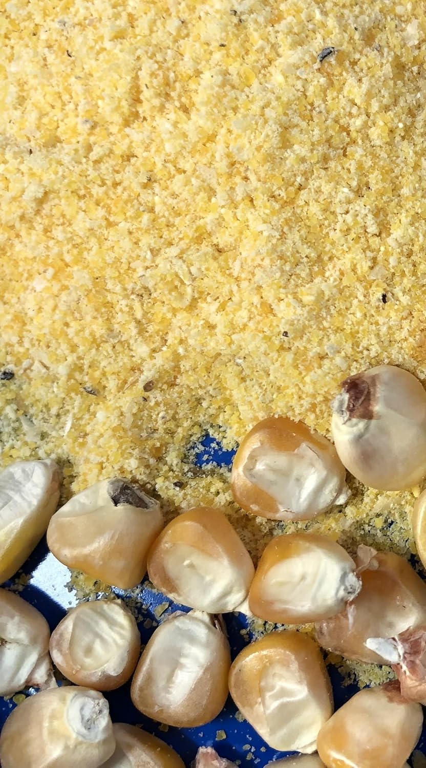 Early Morning Harvest Organic Corn Meal (Pack of 9)– Made and grown in USA, Non-GMO Yellow Corn – Stone Ground Corn Meal for Baking and Cooking, Whole Grain, Certified Organic cornmeal medium grind (28 ounces, 9-pack)