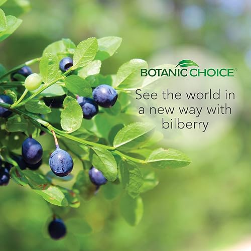 Miniatura 5 de Botanic Choice Extracto líquido sin alcohol de arándano, 1 onza líquida