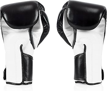 Amazon.co.jp: Fairtex BGV5 ムエタイ ボクシンググローブ