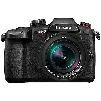 Panasonic LUMIX GH5 12-60mm レンズセット Panasonic LUMIX GH5 12-60ズームレンズセット ケース付き