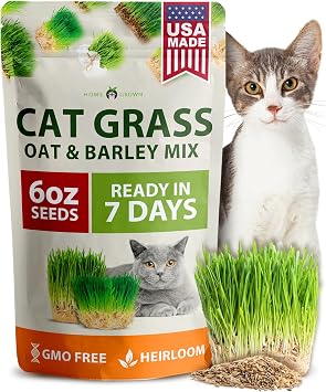 HOME GROWN Cat Grass Seeds 6 oz Heirloom Barley & Oat Mix, Refill for Indoor Cat Grass Growing Kit, Safe, Healthy, Green, for Cats, Pet Grass for Eating & Digestion