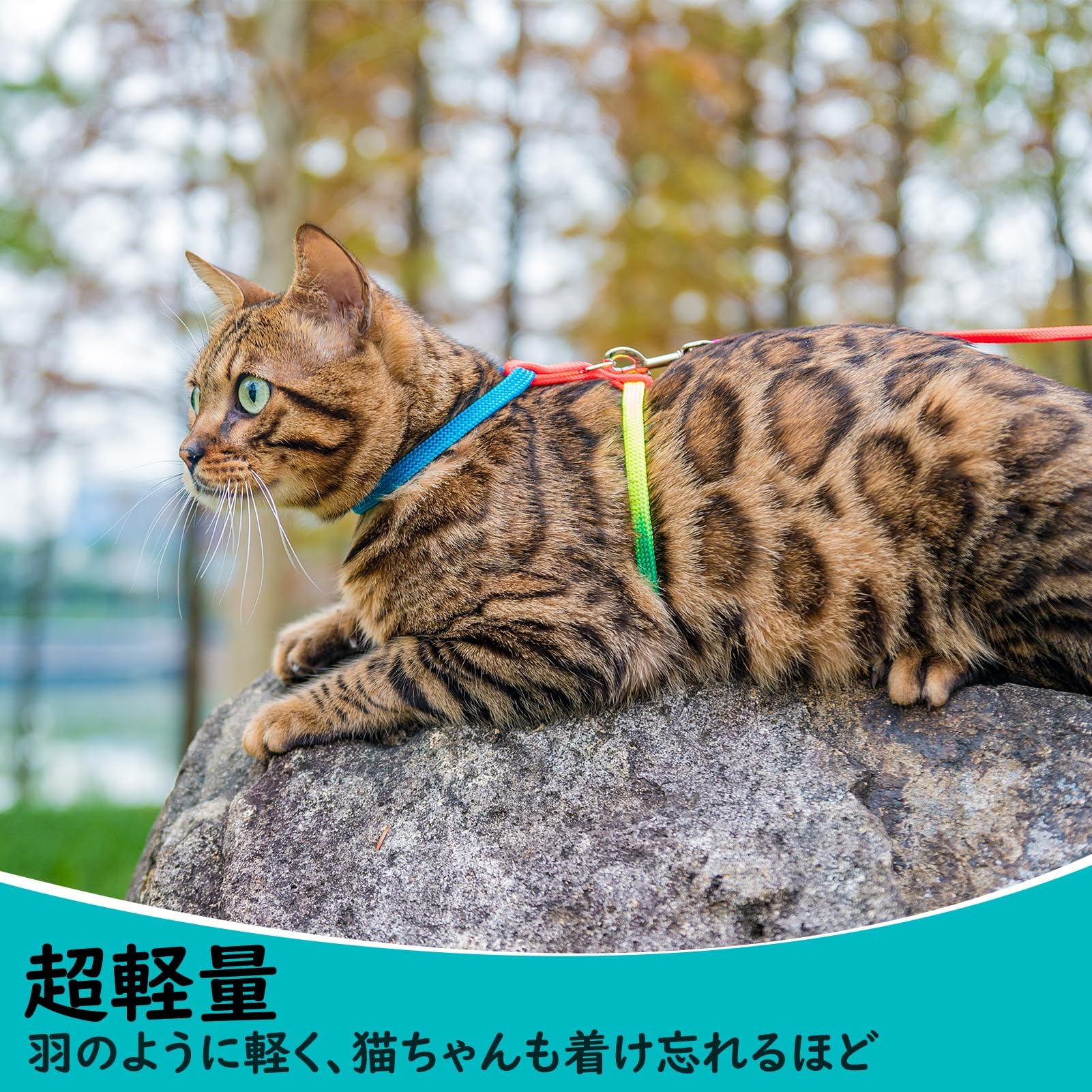 Amazon | PUPTECK 猫 ハーネス リードセット 猫用ハーネス 猫牽引