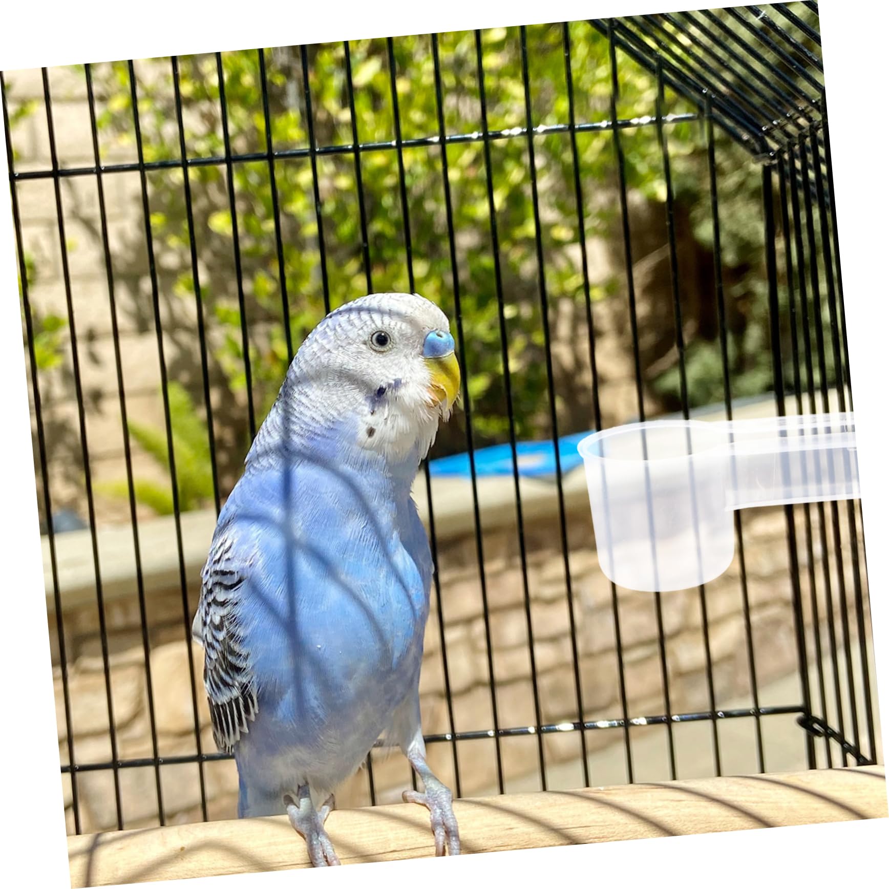 TOYANDONA 10pezzi Bevitoio Per Pappagalli e Piccioni Ciotola Per Uccelli in Plastica Abbeveratoio Automatico Facile Da Pulire Forniture Per Alimentazione Animali Domestici