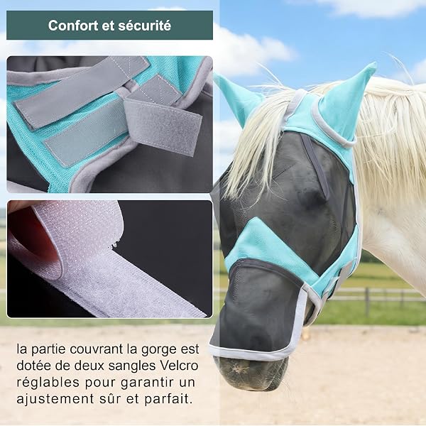 Masque Anti-Mouches pour Chevaux, Couvre-Nez et Oreilles, Protection Anti-UV, Maille Respirante, Grands Yeux, Ouvertures pour Les Poils du Front, sans Frottement, Turquoise Large - 5