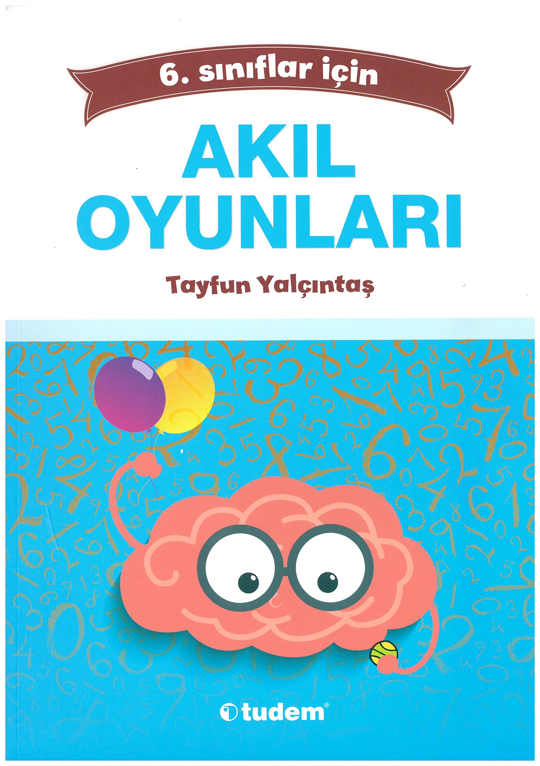 6.SINIF AKIL OYUNLARI