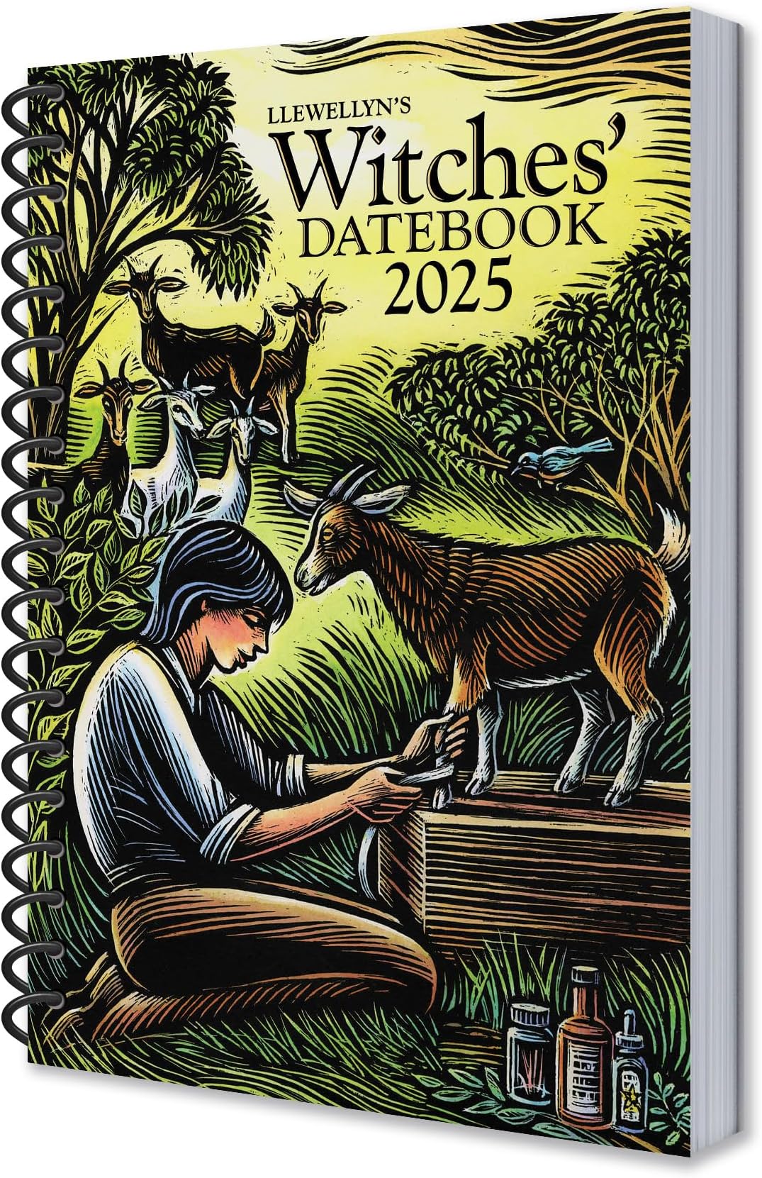 Llewellyn's 2025 Witches' Datebook