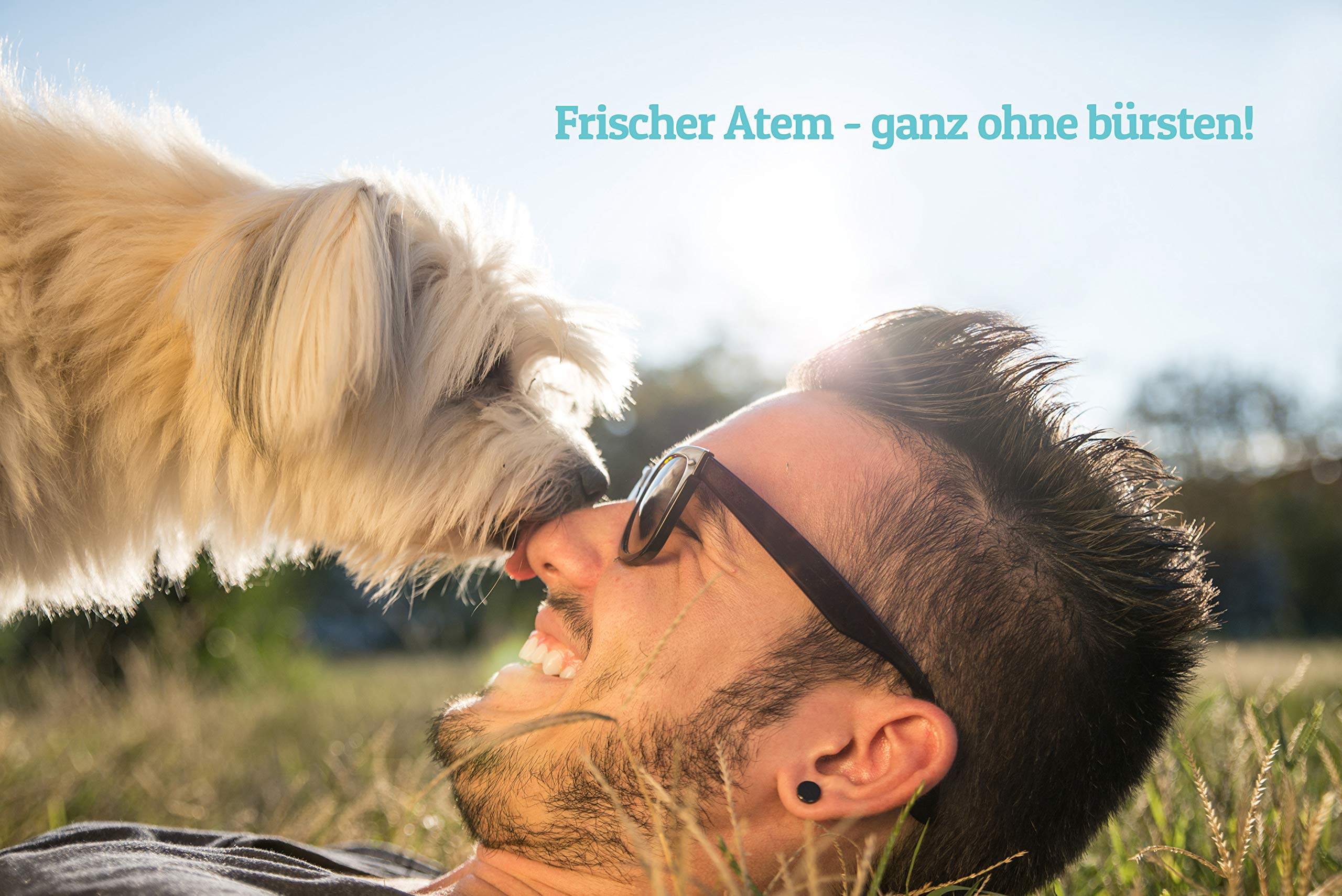 Zahnpflege Wasserzusatz für Hunde und Katzen | Frischer Atem und gesunde Zähne - Hilft Plaque und Zahnstein vorzubeugen - 500ml (Classic)