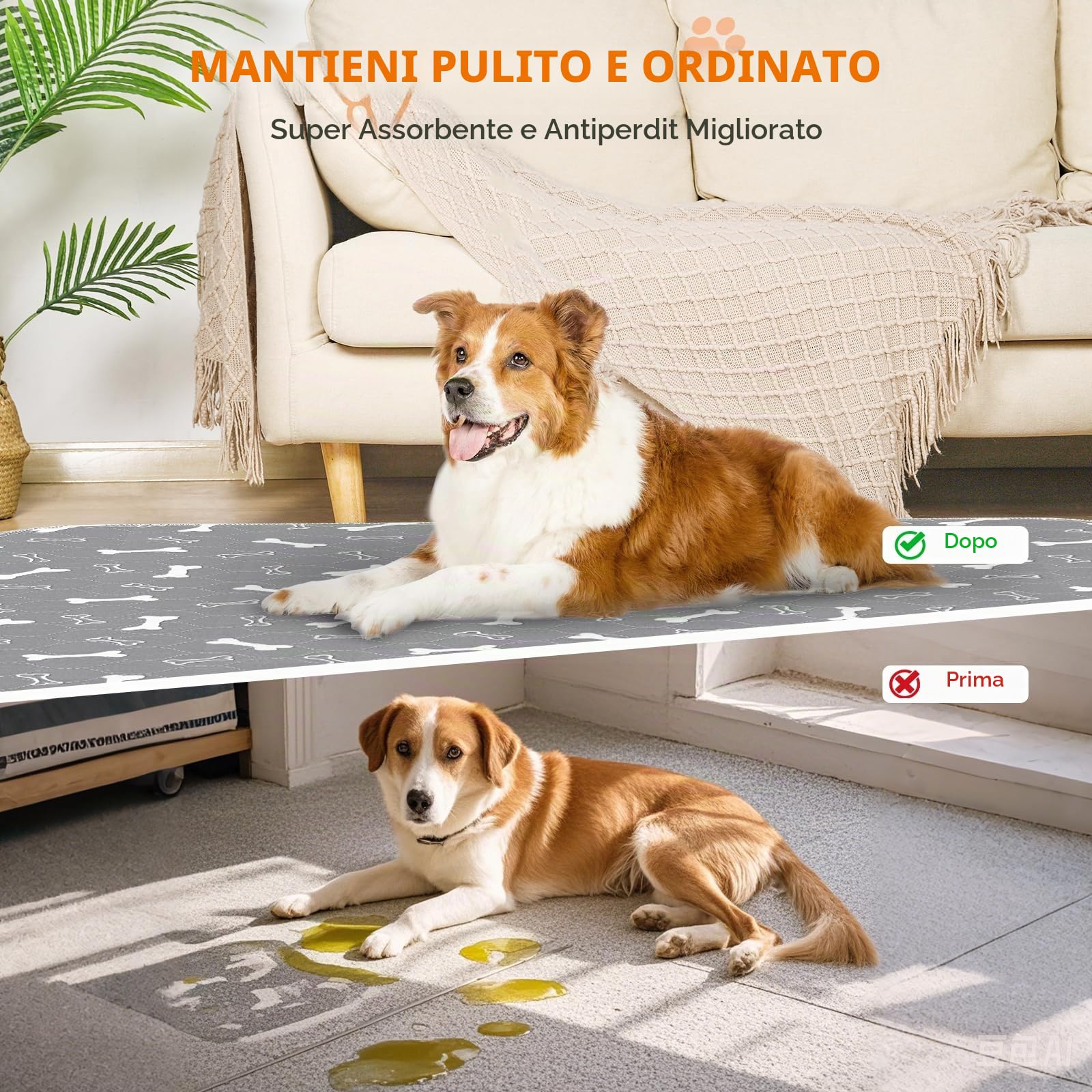 Baodan Traverse Cani, 2pc Traversine Lavabili per Cani 122x152cm Assorbenti | Antiperdita, resistente, per cani, tappetino per la pulizia del cane con fondo antiscivolo, apprendimento della pulizia
