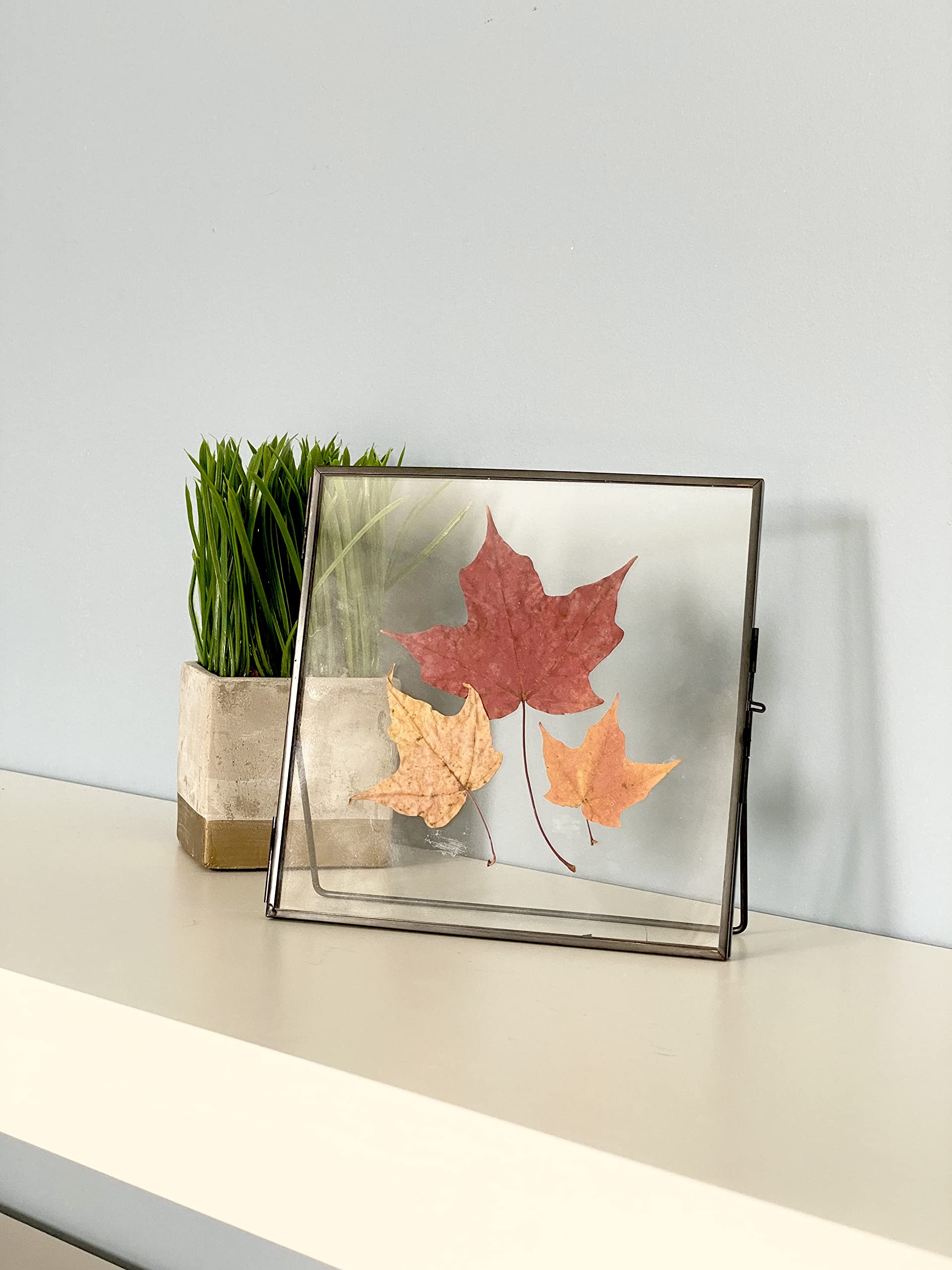 Beedecor Marco de cristal doble para flores prensadas, fotos Polaroid y obras de arte, marcos de fotos de metal negro de 5 x 7 pulgadas, decoración del hogar, juego de 2 marcos de flores prensadas con