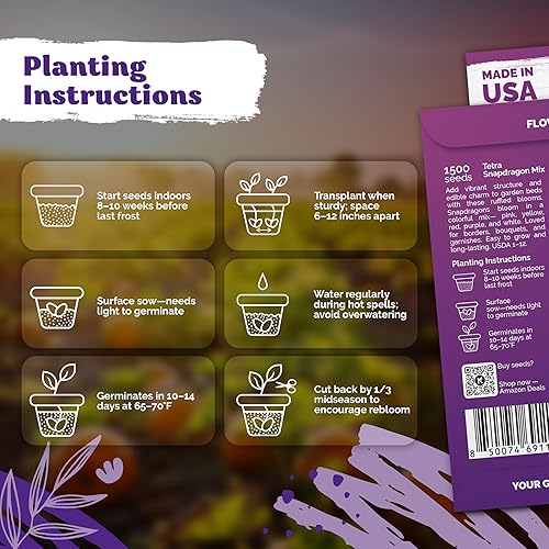 Miniatura 3 de KVITER 1,500 semillas mixtas de snapdragon tetra (Antirrhinum Majus)  Mezcla hereditaria y orgánica de snapdragon alto, semillas de jardín anual de