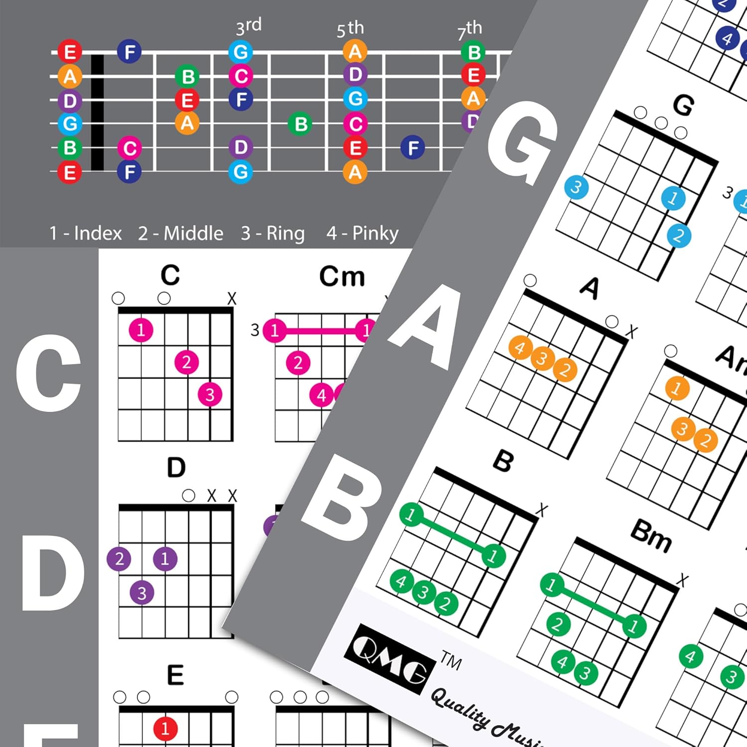 QMG Left Handed Guitar Chord Poster (24"x30"), Educational Reference Guide for Beginners, 56 Color Coded Chords, printed on non-tearing vinyl paper, Made in USA