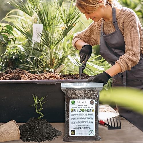 Miniatura 5 de Mezcla de tierra para macetas de bonsái de bambú (3 tazas  1 cuarto de galón), perlita y musgo de turba