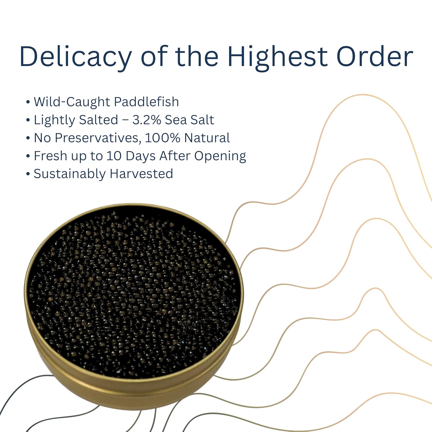CASPIY American Paddlefish Sturgeon Caviar – Premium Black Roe, Traditionally Harvested Malossol with 2 Mother of Pearl Spoons & Caviar Opener – Single Tin (8.8 oz / 250g)