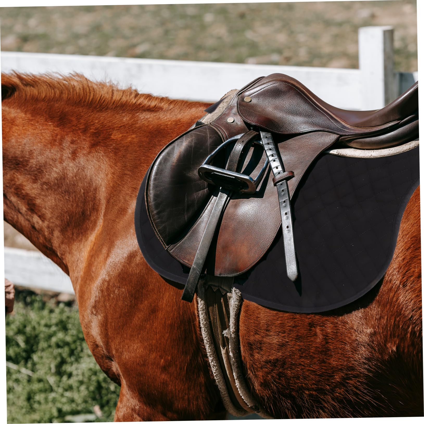 Almohadilla de Asiento para Caballo Antideslizante Negra 1 Pieza | Eva, Algodón y Poliéster, Fácil de Instalar y Retirar, Alta Resistencia, Experiencia Cómoda al Montar