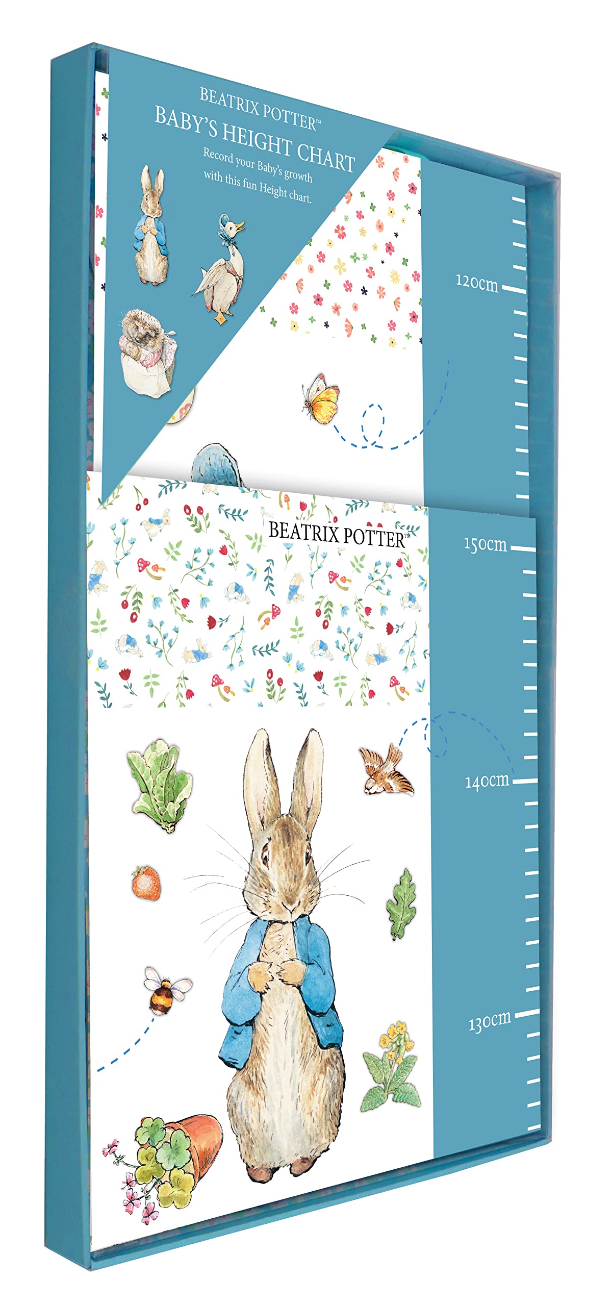 Robert Frederick, The World of Beatrix Potter Height Chart