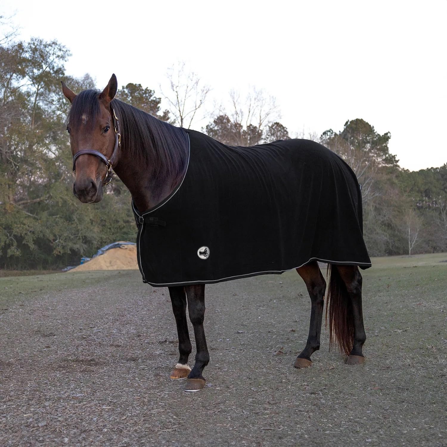 Jeffers Fleece-Kühldecke für Pferde, leichte, feuchtigkeitsableitende Westerndecke für Winterwärme und stabile Nutzung, verstellbare Passform, langlebig und pflegeleicht, Größe 213,4 cm, Schwarz