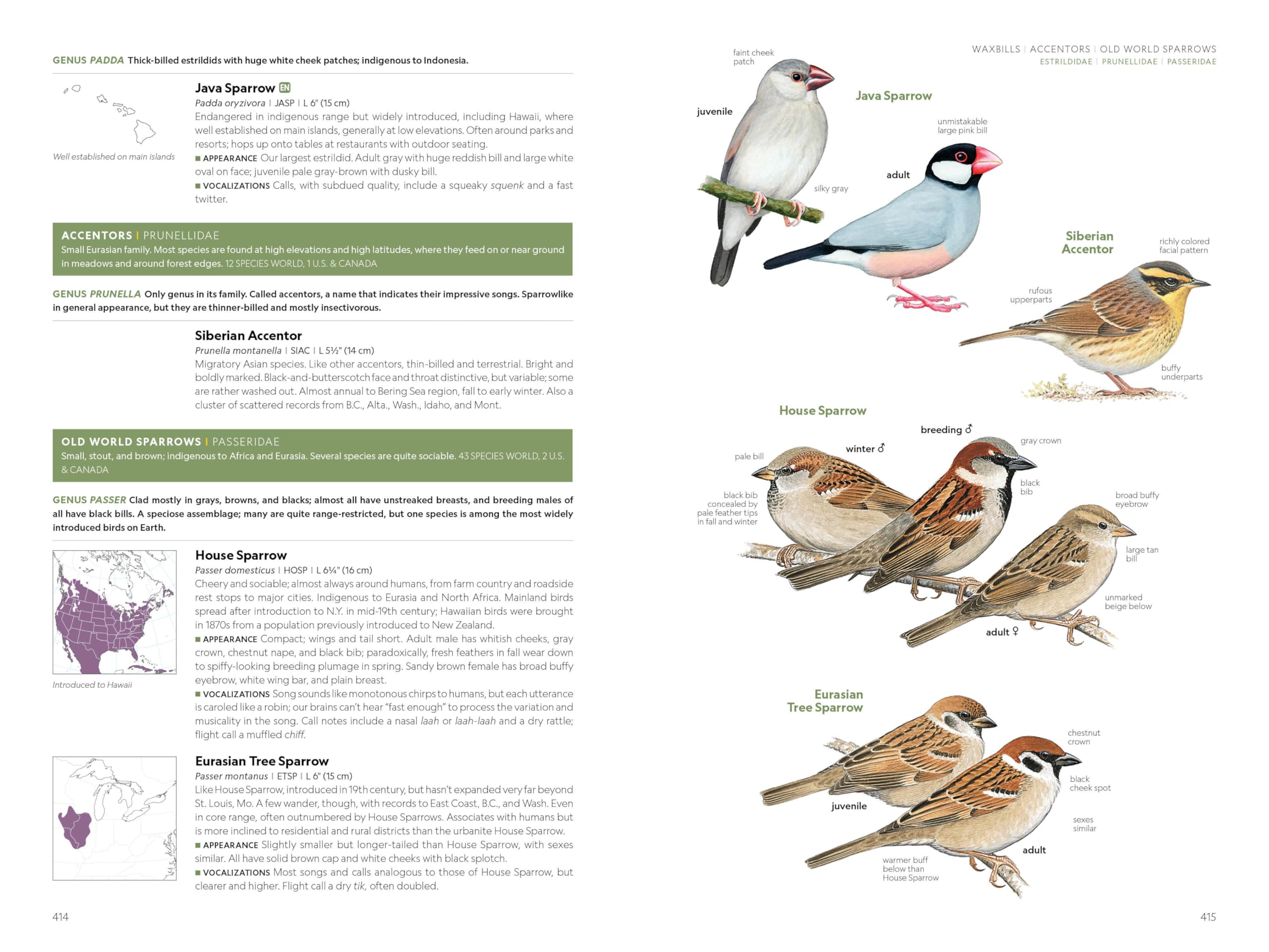 National Geographic Field Guide to the Birds of the United States and Canada, 8th edition